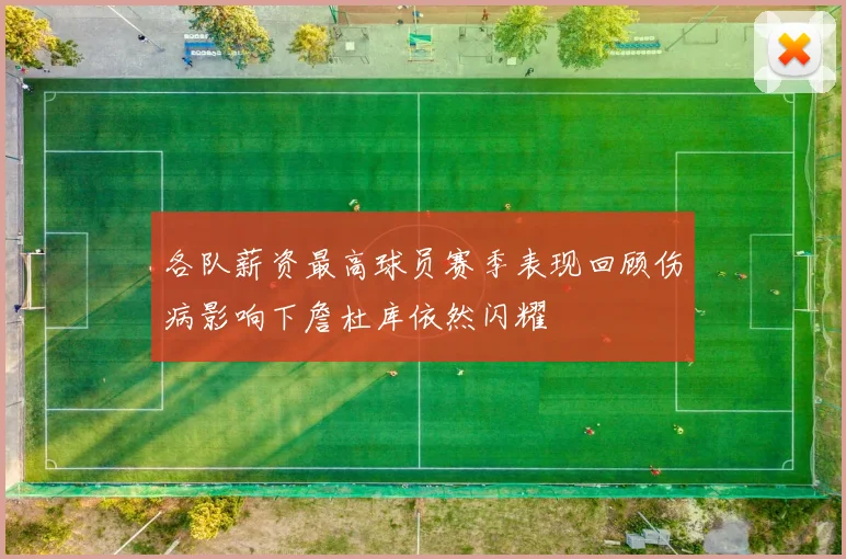 各队薪资最高球员赛季表现回顾伤病影响下詹杜库依然闪耀
